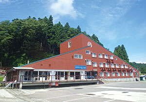 ホワイトクリフ