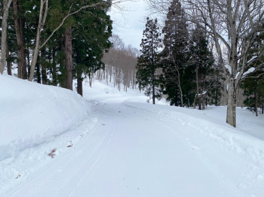 第３ゲレンデ・林間コース（初心者）