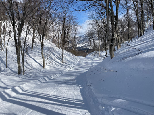 第５ゲレンデ・林間コース