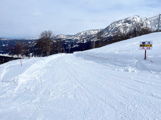 第５ゲレンデ・林間コース