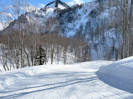 第６ゲレンデ・林間コース